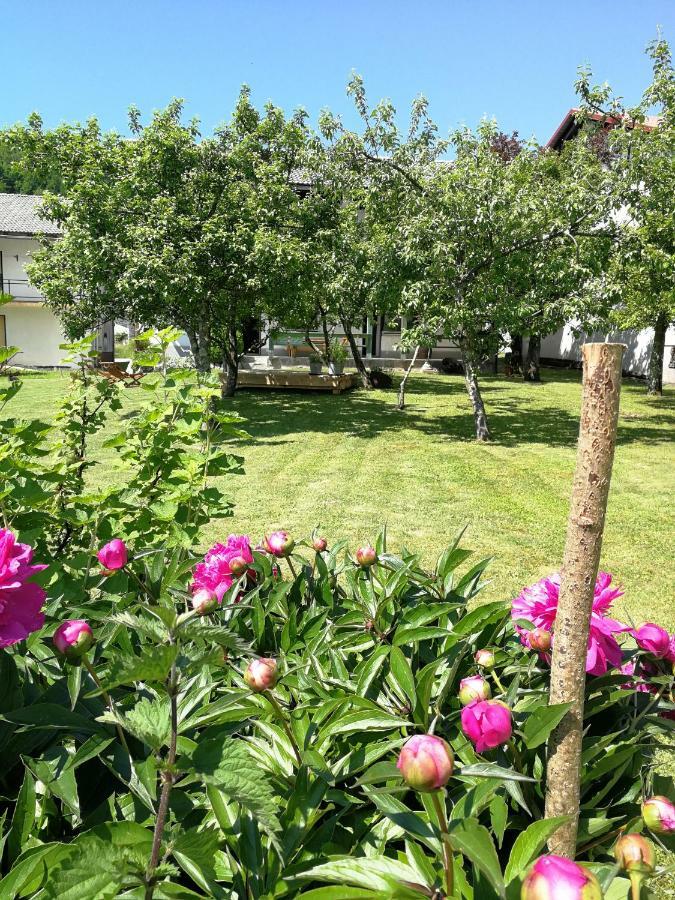 Apartment Bandaron Кобарід Екстер'єр фото